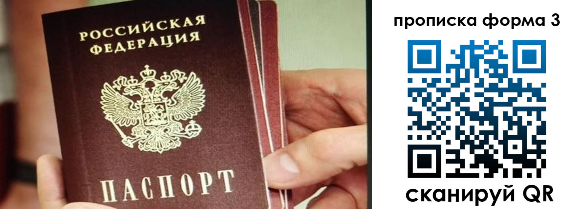 прописка законно в Архангельской области
